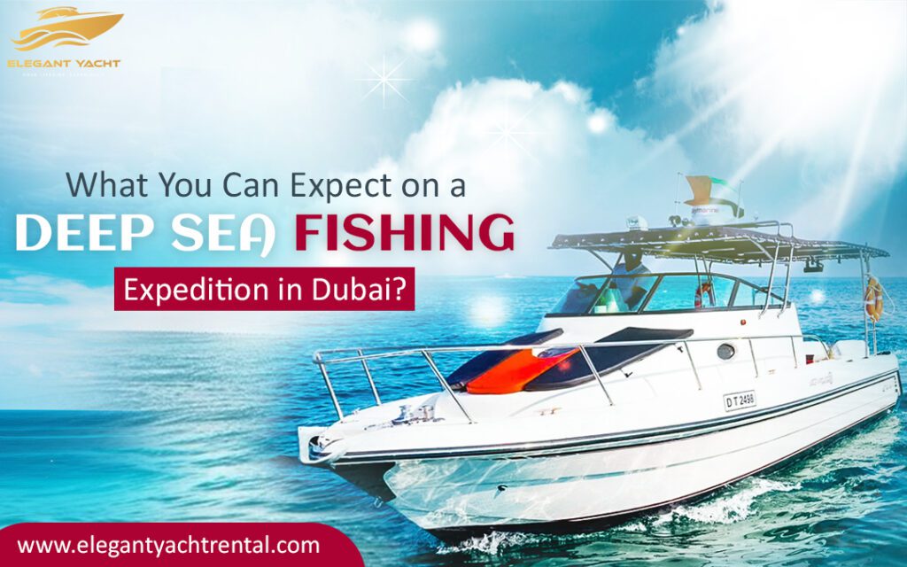 What You Can Expect on a Deep Sea Fishing Expedition in Dubai