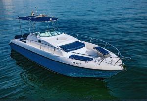 Elegant 35 feet Blue moon