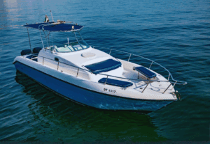 Elegant 35 feet Blue moon